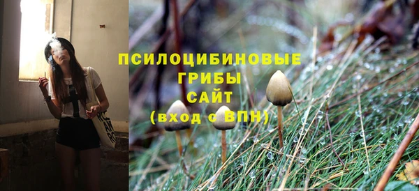 дурь Алексин