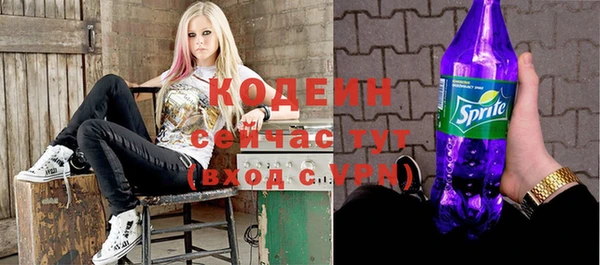 дурь Алексин