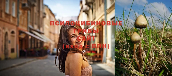 дурь Алексин