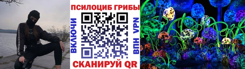 Псилоцибиновые грибы мицелий  купить  сайты  OMG как войти  Нижние Серги 