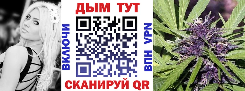 mega маркетплейс  Нижние Серги  МАРИХУАНА Amnesia  где найти наркотики 